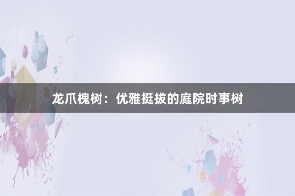 龙爪槐树：优雅挺拔的庭院时事树