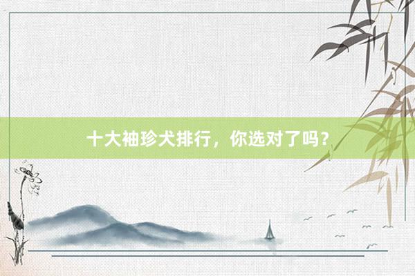 十大袖珍犬排行，你选对了吗？