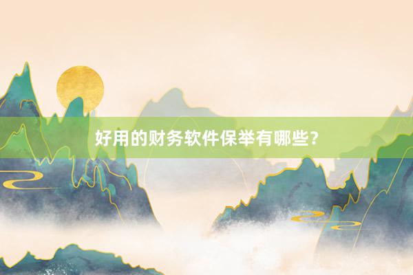 好用的财务软件保举有哪些？